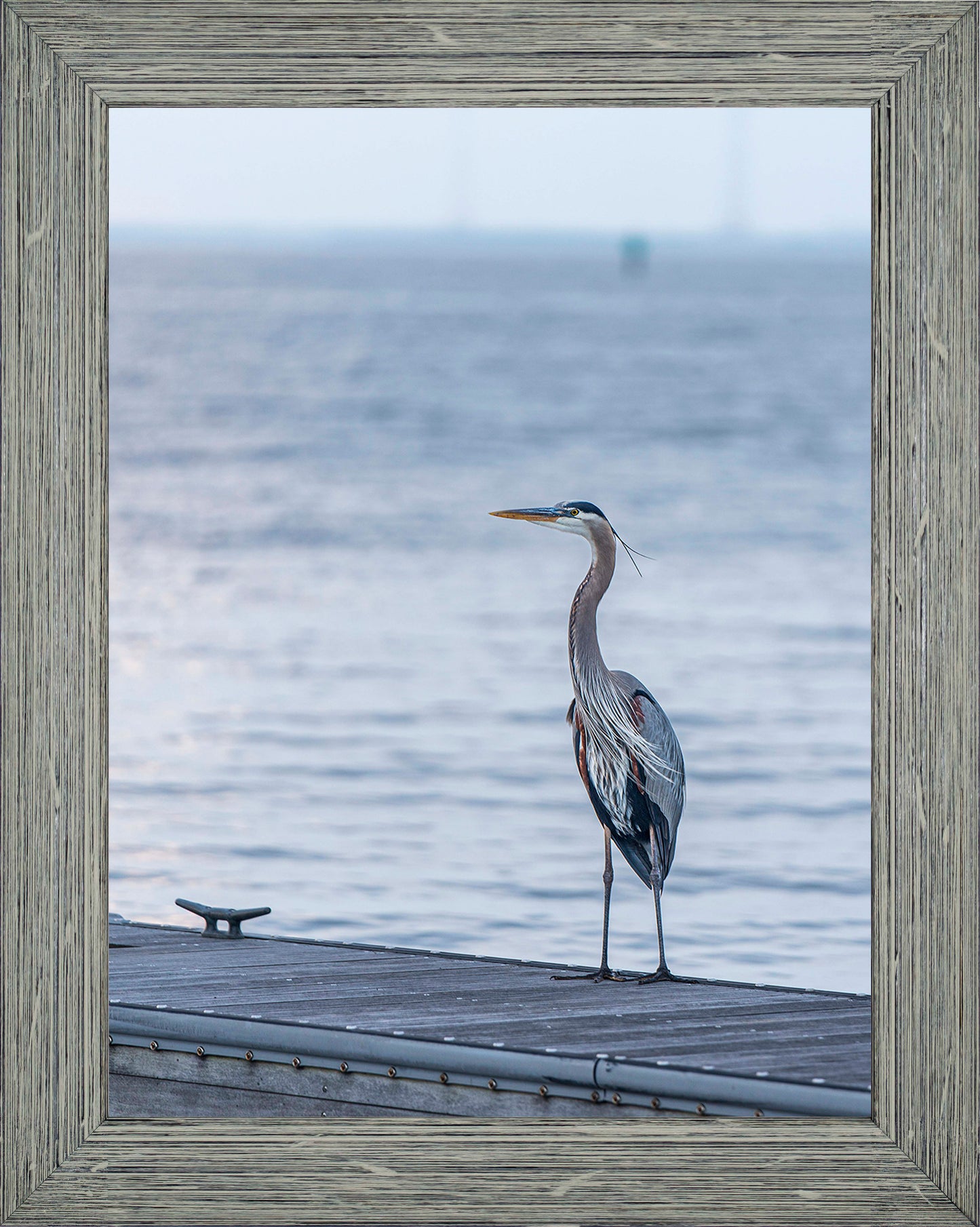 Waiting for a Mate -- Digital Print