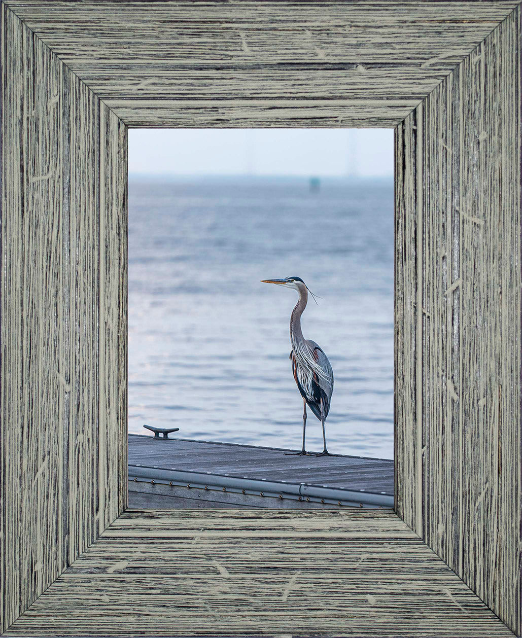 Waiting for a Mate -- Digital Print