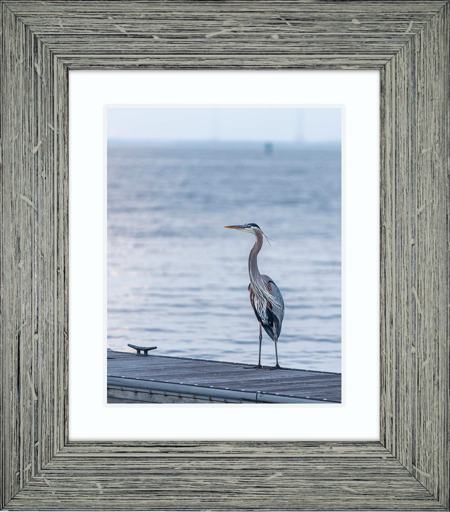 Waiting for a Mate -- Digital Print