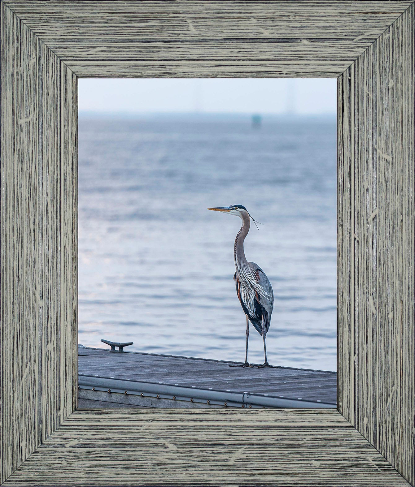 Waiting for a Mate -- Digital Print