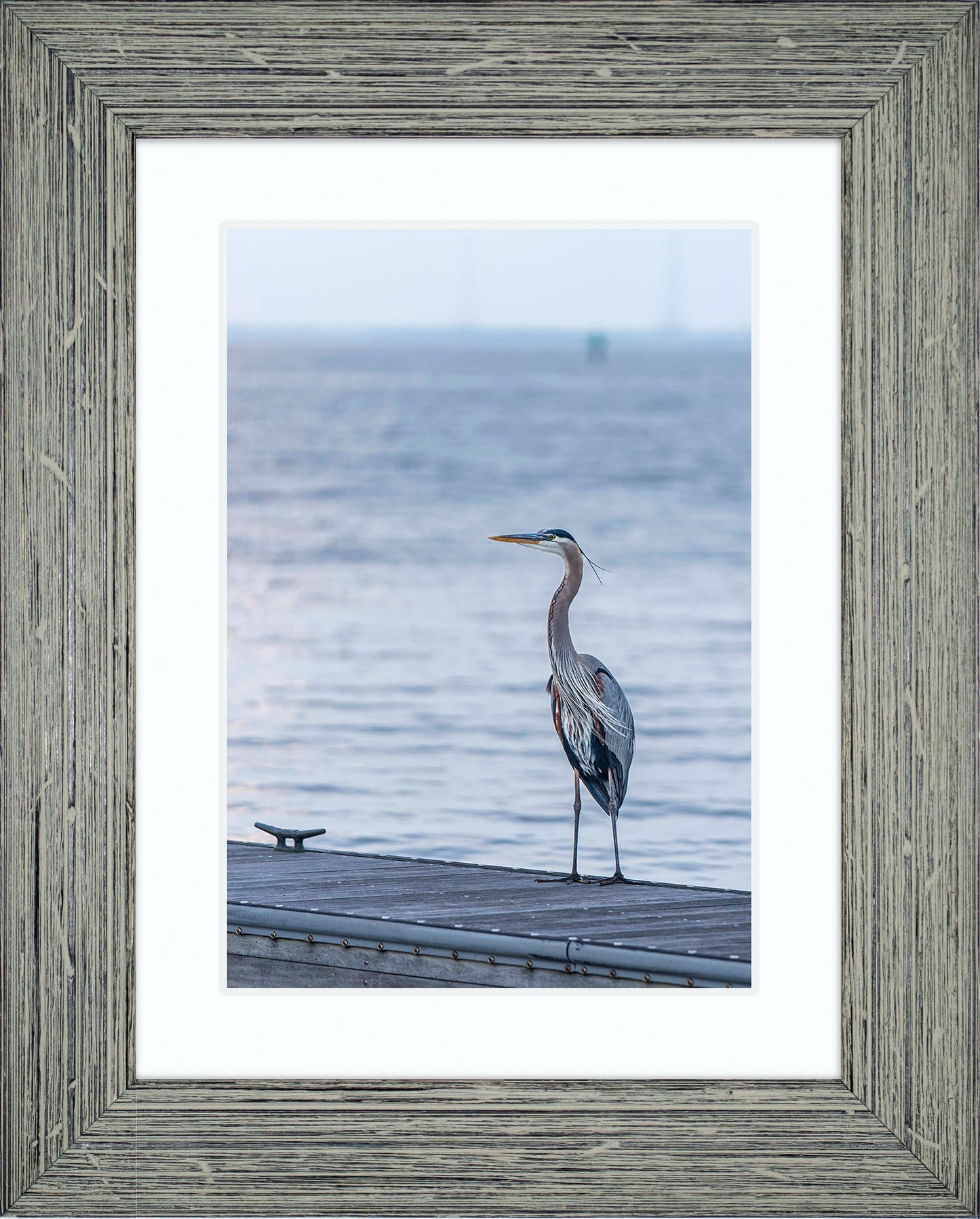 Waiting for a Mate -- Digital Print