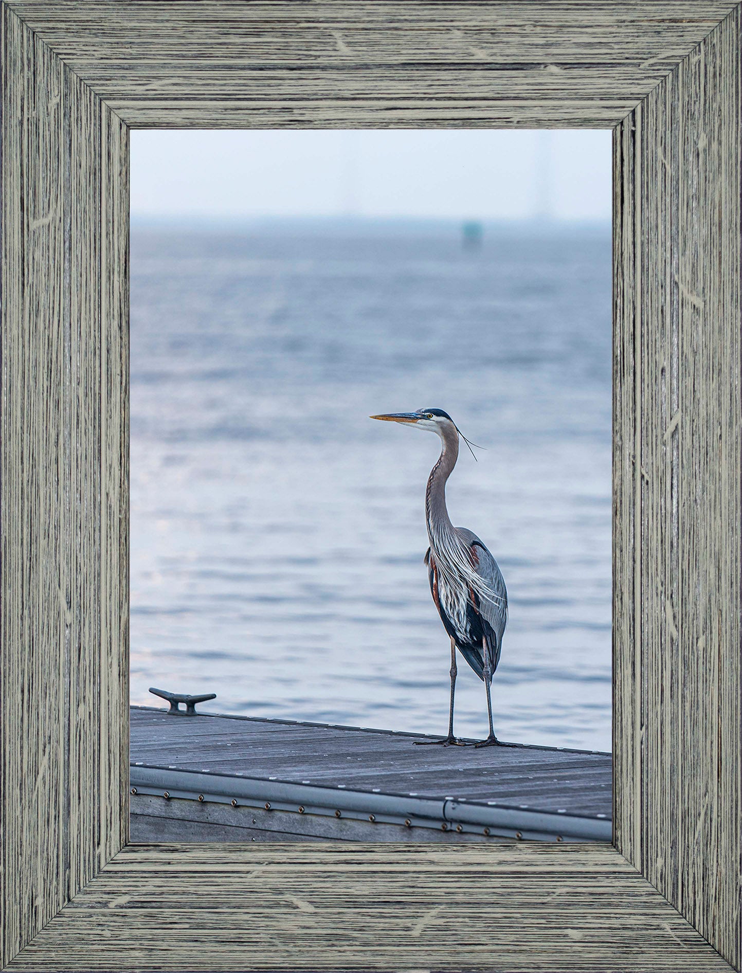 Waiting for a Mate -- Digital Print