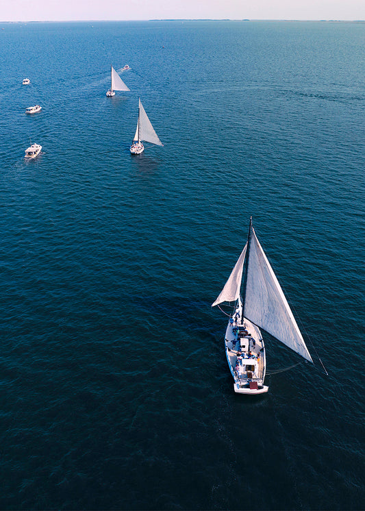 2022 Deal Island Skipjack Races - Skipjack Trifecta -- Digital Print