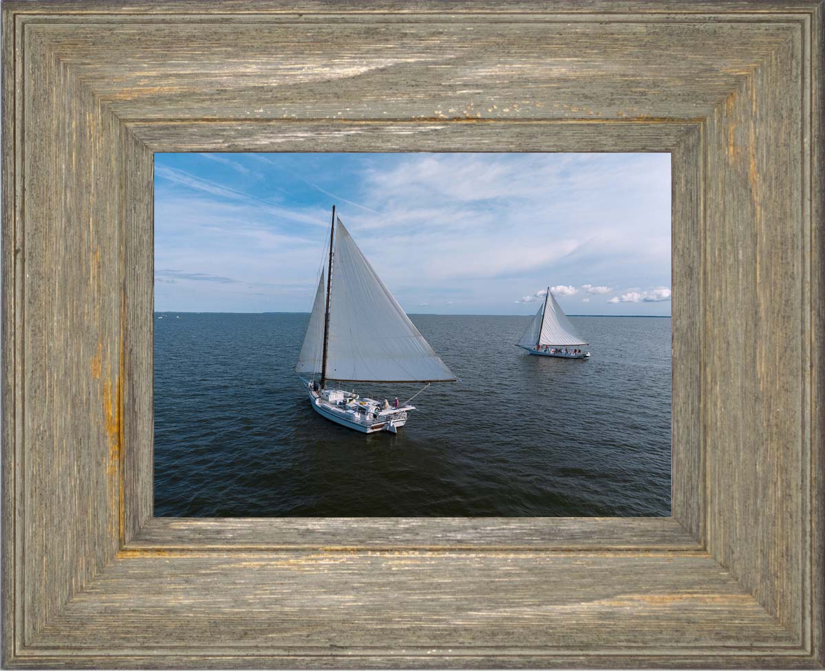 2022 Deal Island Skipjack Races - The Dee of St Mary's -- Digital Print