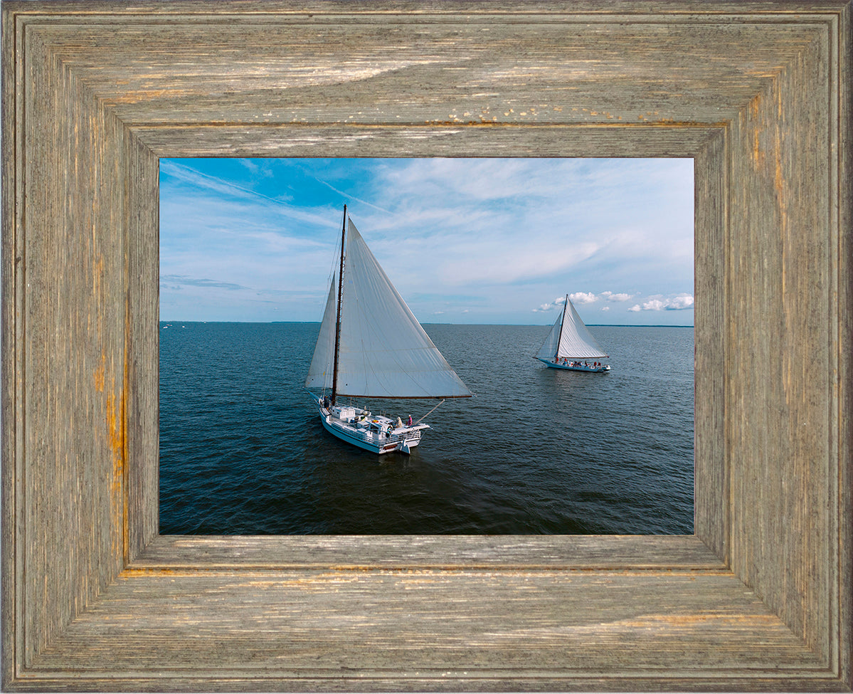 2022 Deal Island Skipjack Races - The Dee of St Mary's -- Digital Print