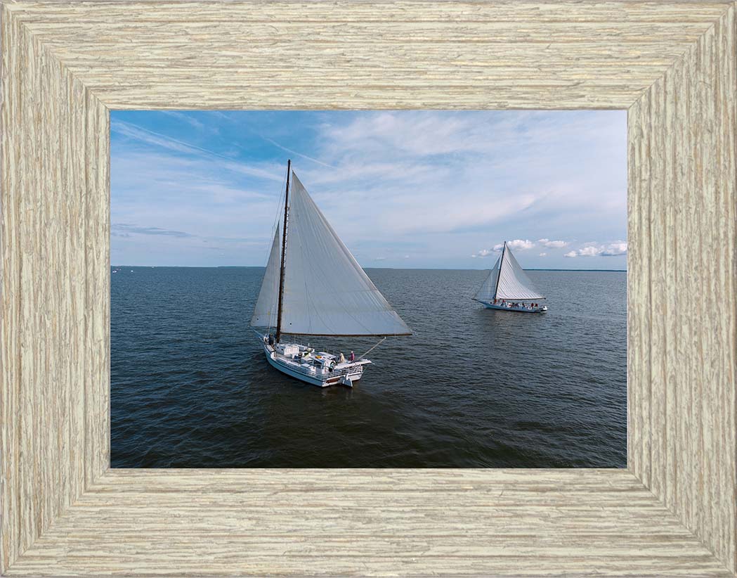 2022 Deal Island Skipjack Races - The Dee of St Mary's -- Digital Print