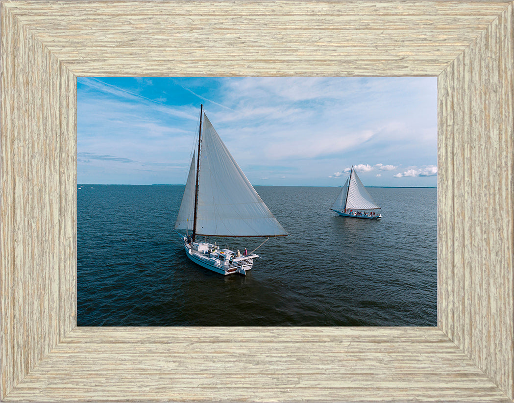 2022 Deal Island Skipjack Races - The Dee of St Mary's -- Digital Print