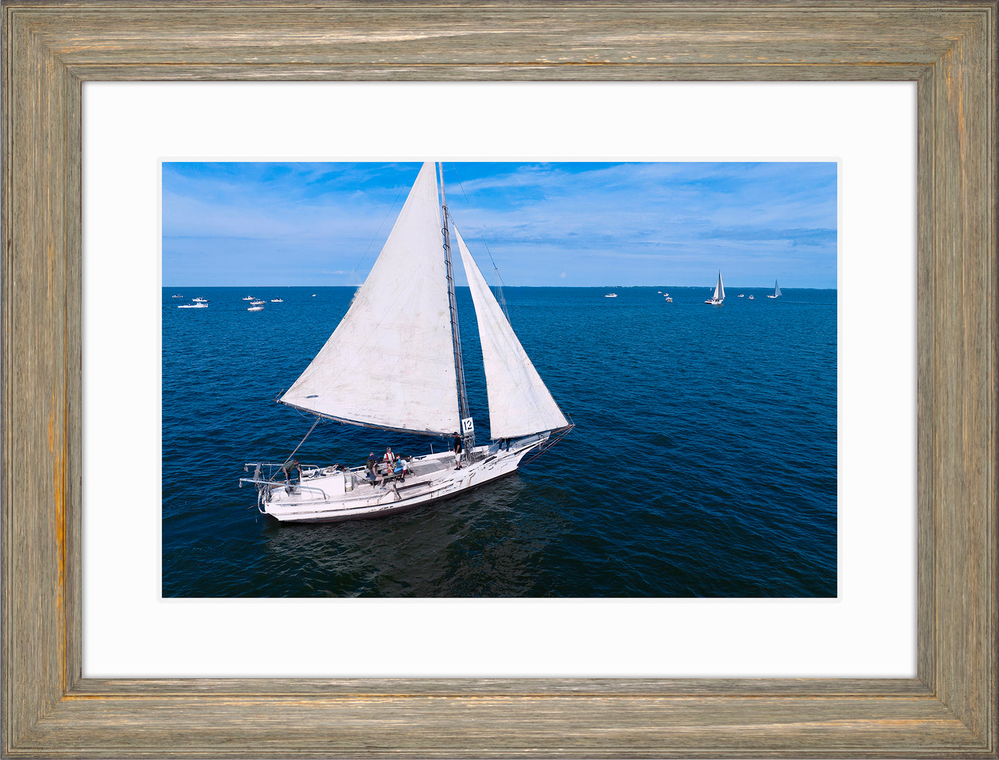 2022 Deal Island Skipjack Races - The Messenger -- Digital Print