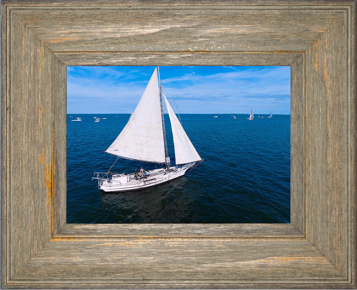 2022 Deal Island Skipjack Races - The Messenger -- Digital Print