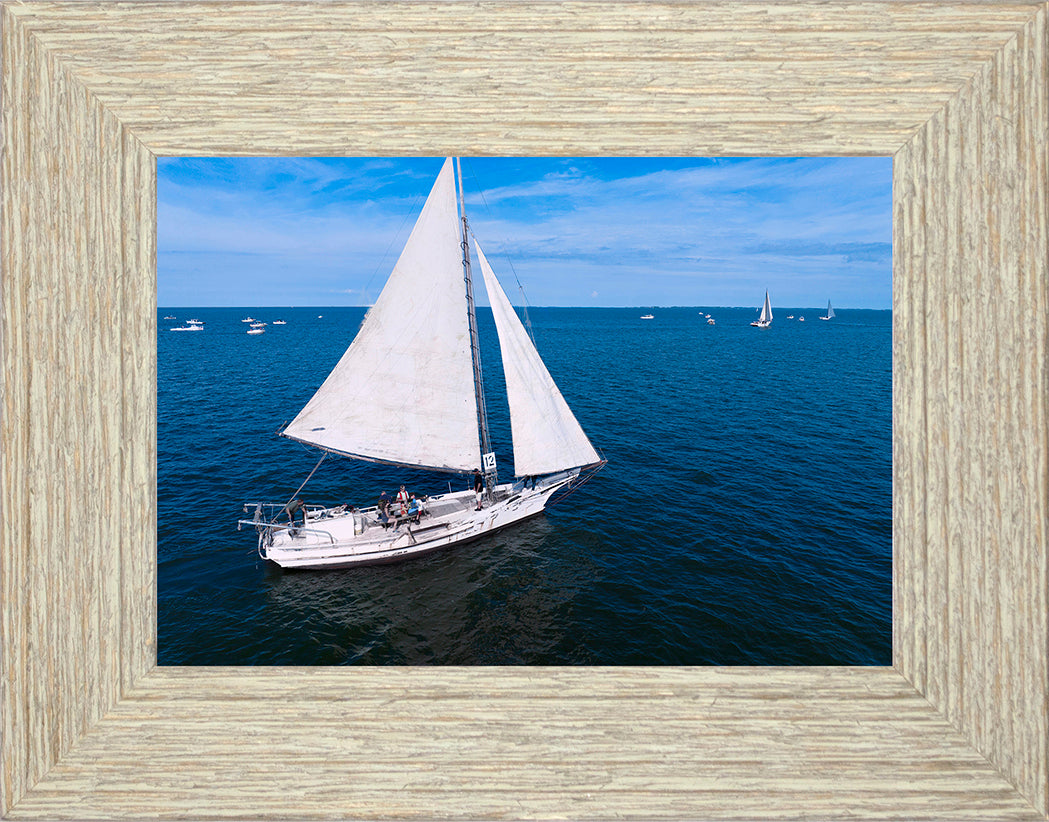 2022 Deal Island Skipjack Races - The Messenger -- Digital Print