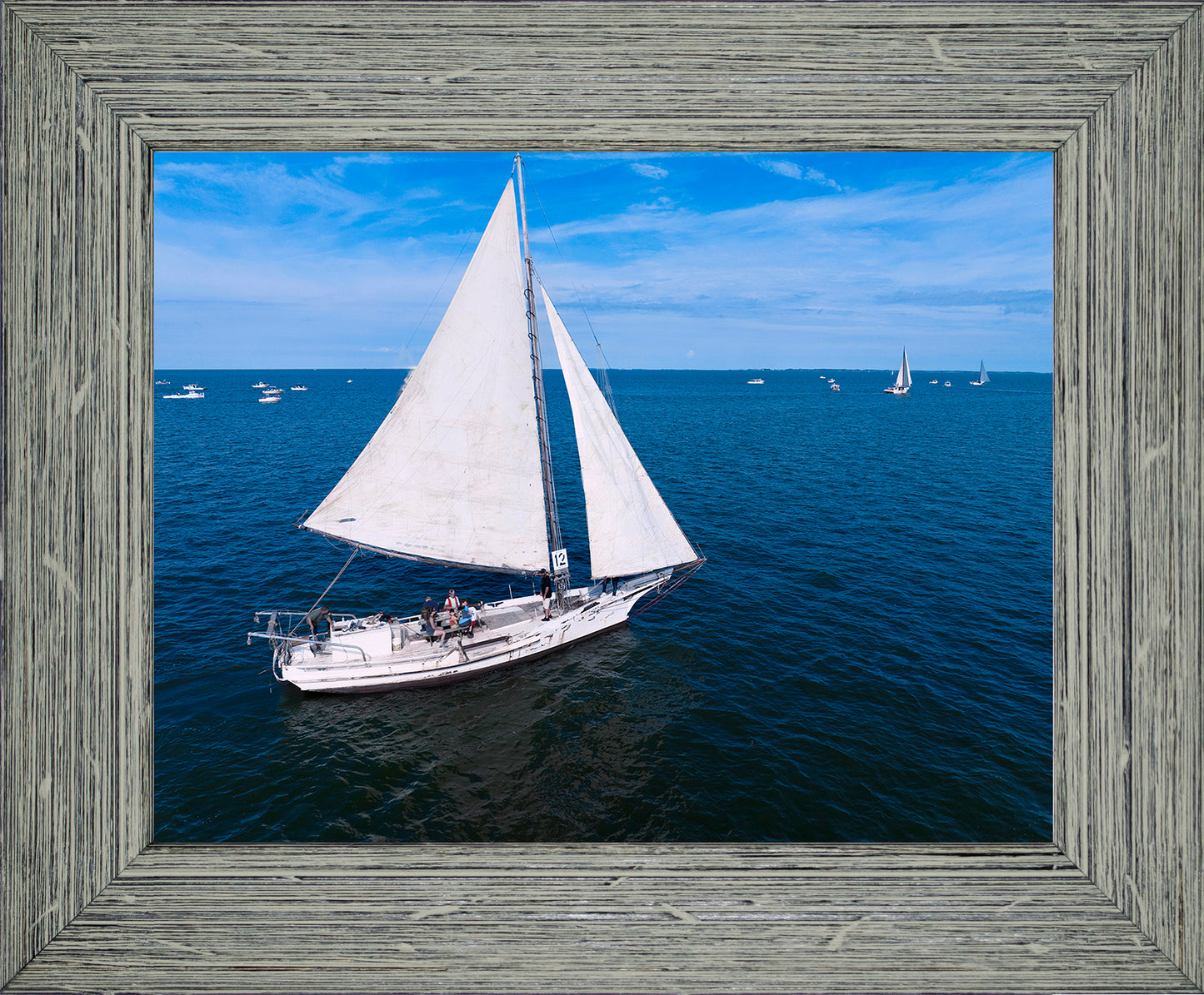 2022 Deal Island Skipjack Races - The Messenger -- Digital Print