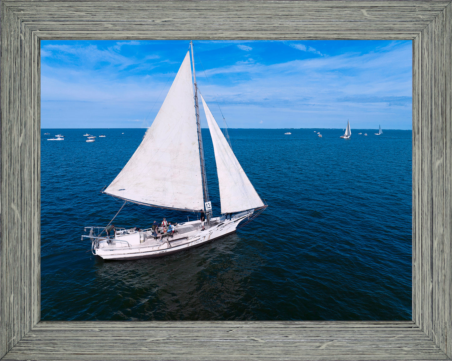 2022 Deal Island Skipjack Races - The Messenger -- Digital Print