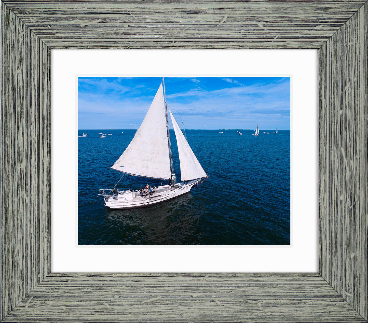 2022 Deal Island Skipjack Races - The Messenger -- Digital Print