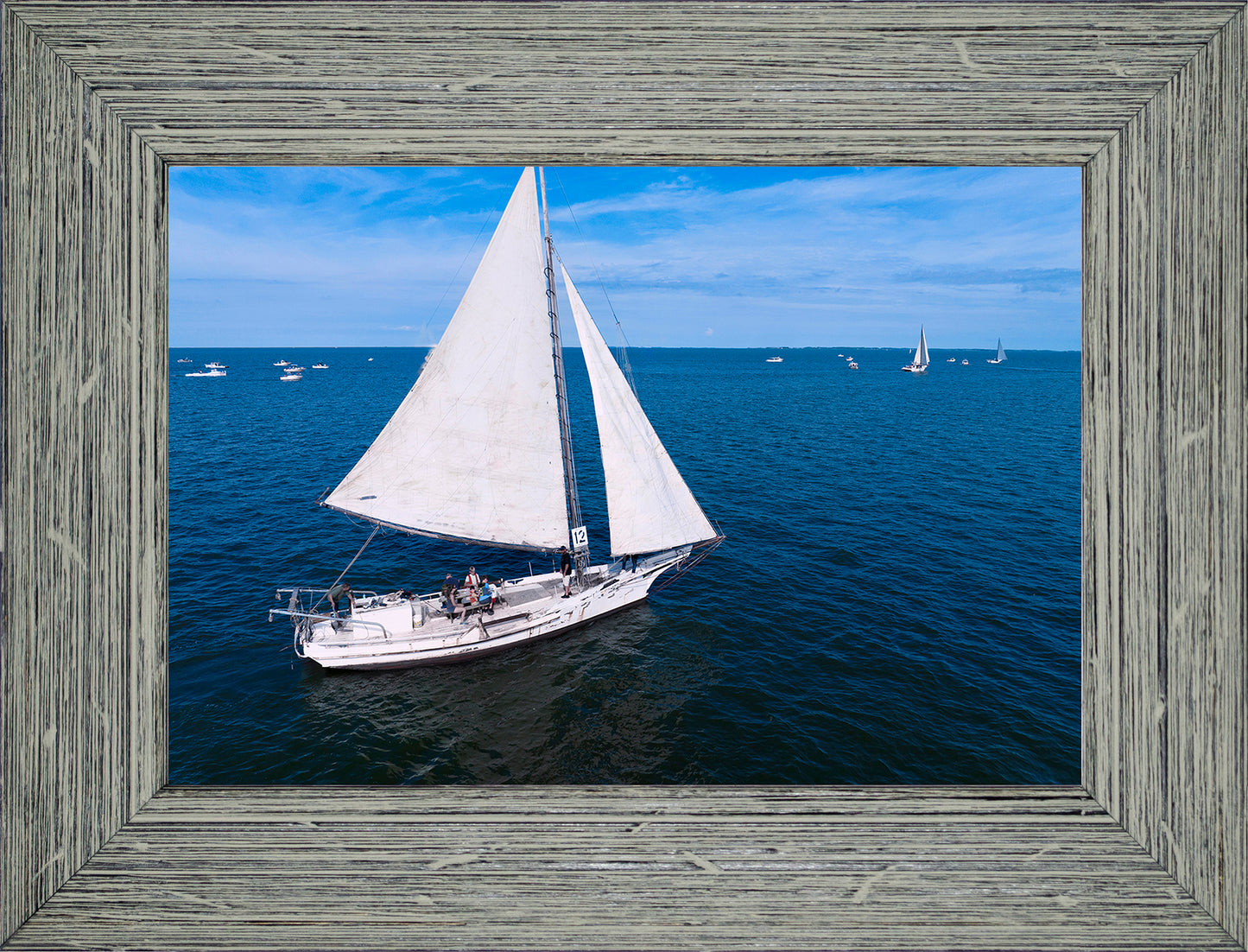 2022 Deal Island Skipjack Races - The Messenger -- Digital Print