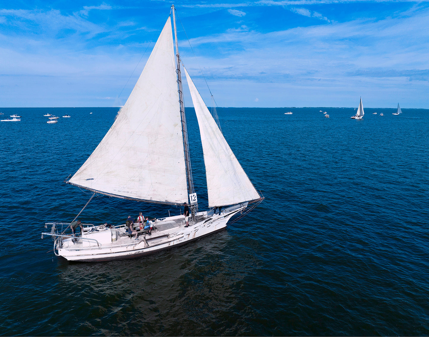 2022 Deal Island Skipjack Races - The Messenger -- Digital Print