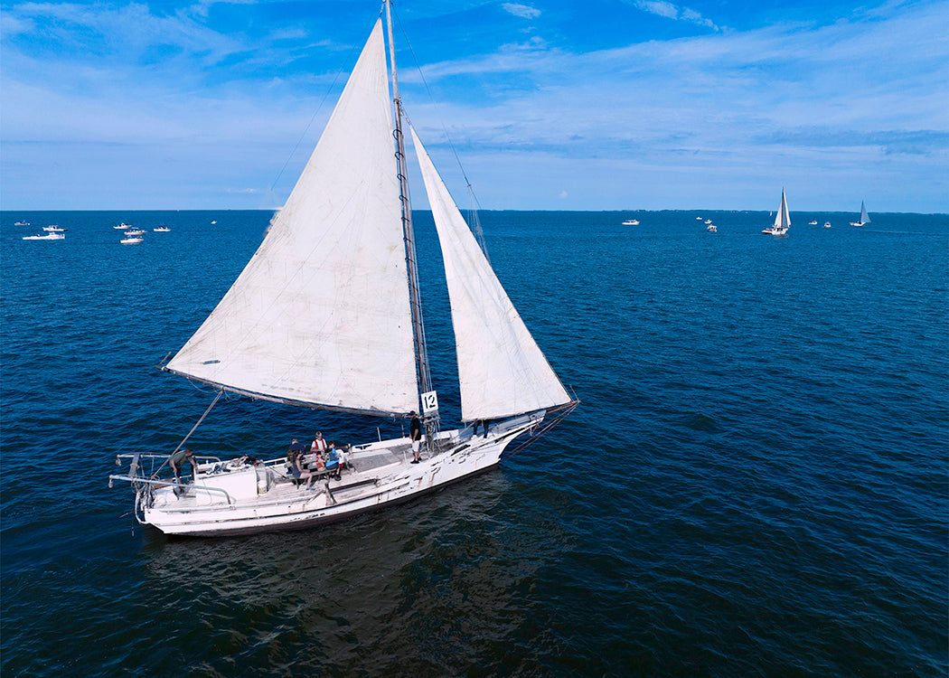 2022 Deal Island Skipjack Races - The Messenger -- Digital Print