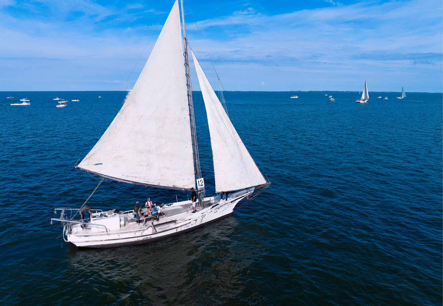 2022 Deal Island Skipjack Races - The Messenger -- Digital Print