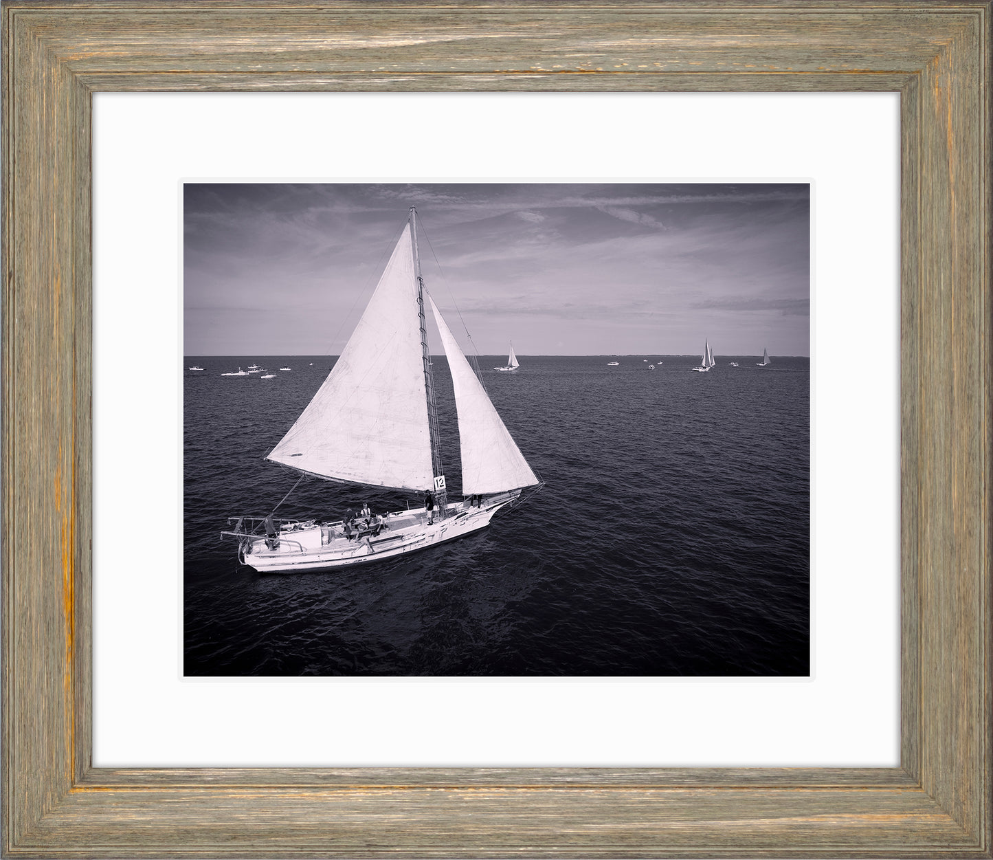 2022 Deal Island Skipjack Races - The Messenger (BW) -- Digital Print