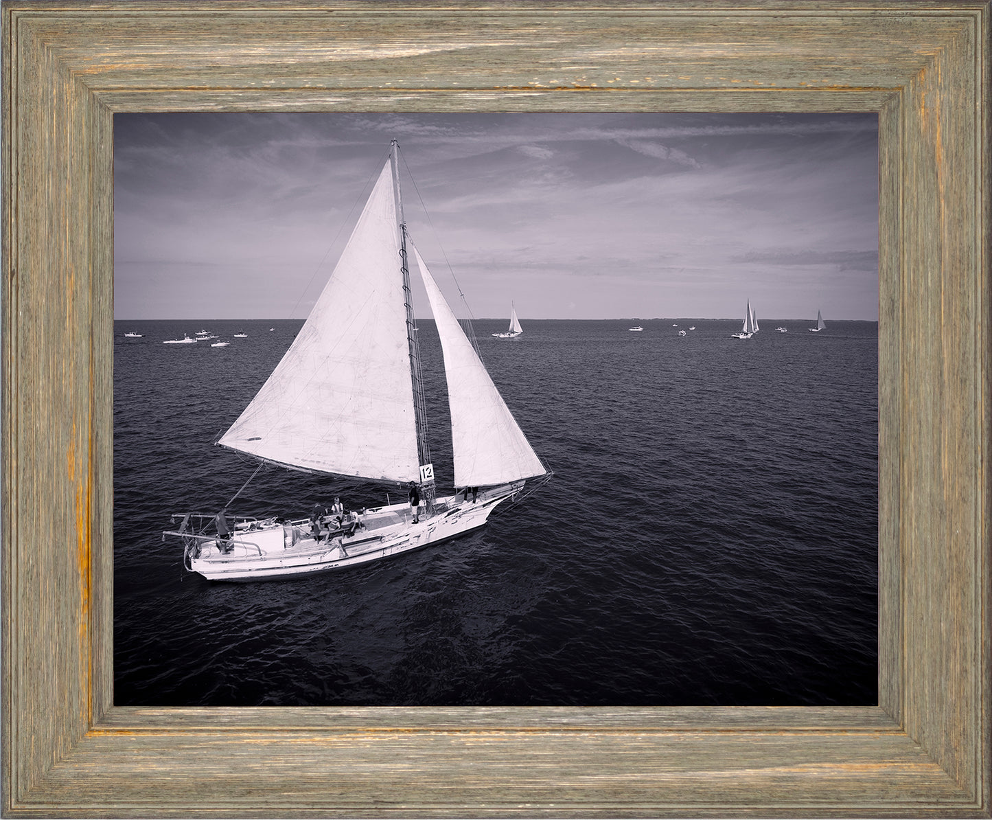 2022 Deal Island Skipjack Races - The Messenger (BW) -- Digital Print