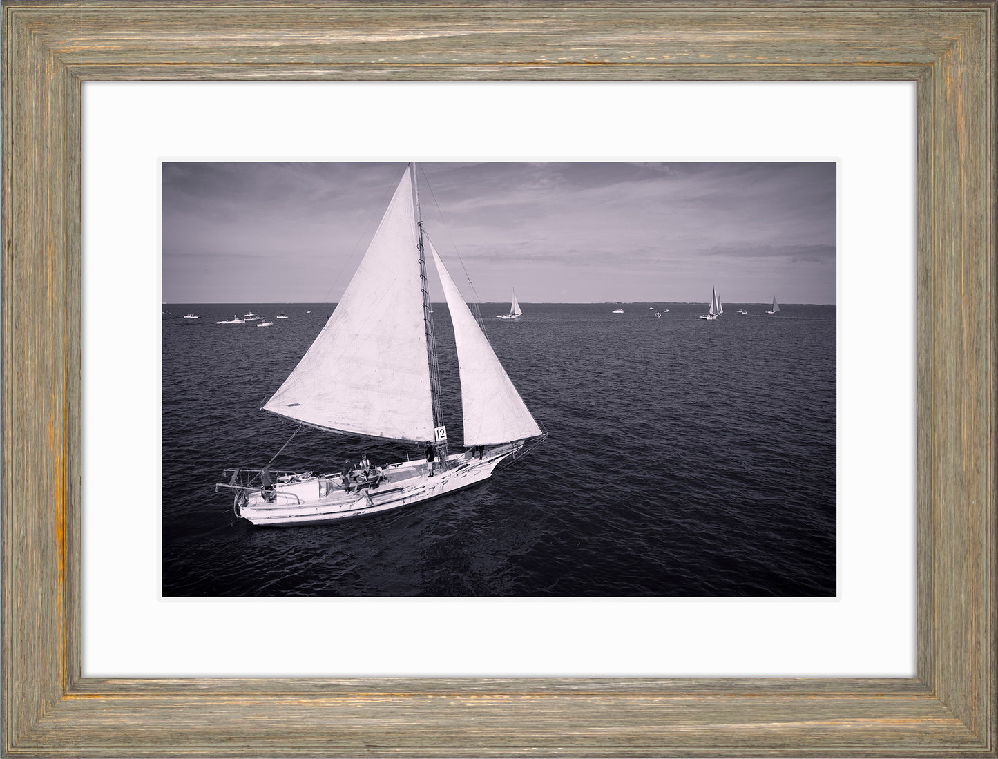 2022 Deal Island Skipjack Races - The Messenger (BW) -- Digital Print