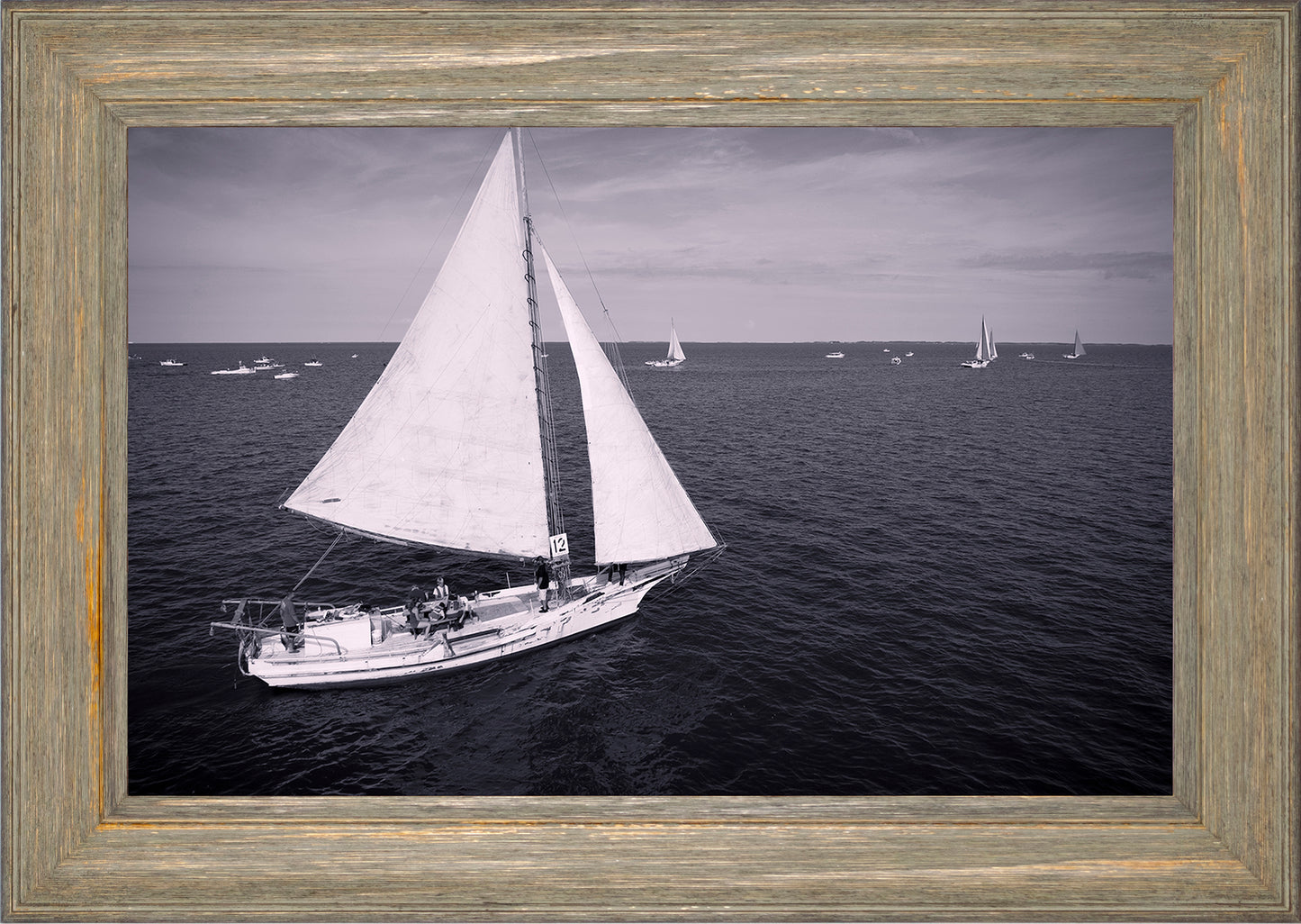 2022 Deal Island Skipjack Races - The Messenger (BW) -- Digital Print