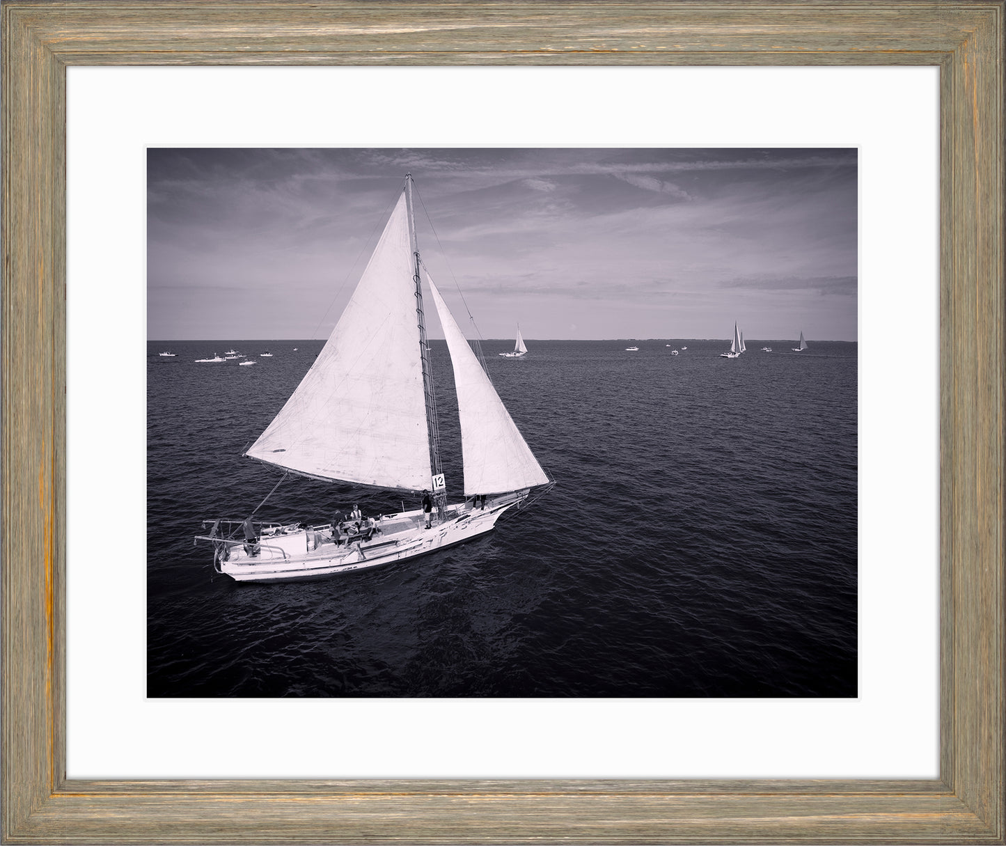 2022 Deal Island Skipjack Races - The Messenger (BW) -- Digital Print
