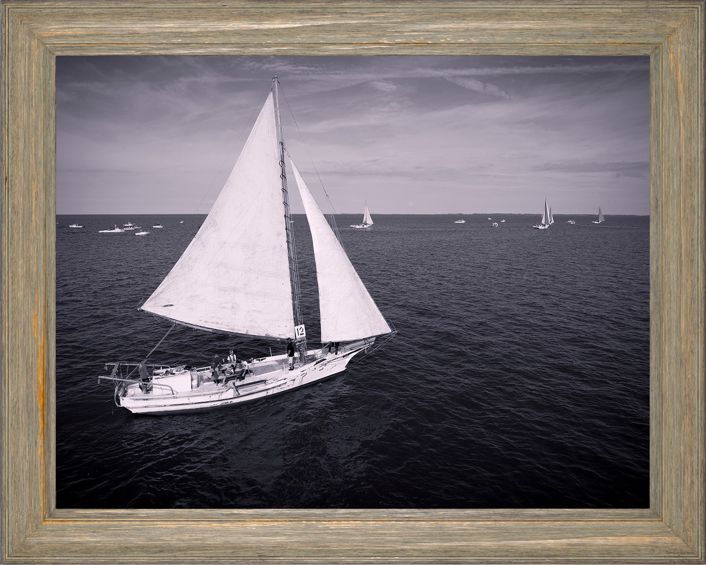 2022 Deal Island Skipjack Races - The Messenger (BW) -- Digital Print