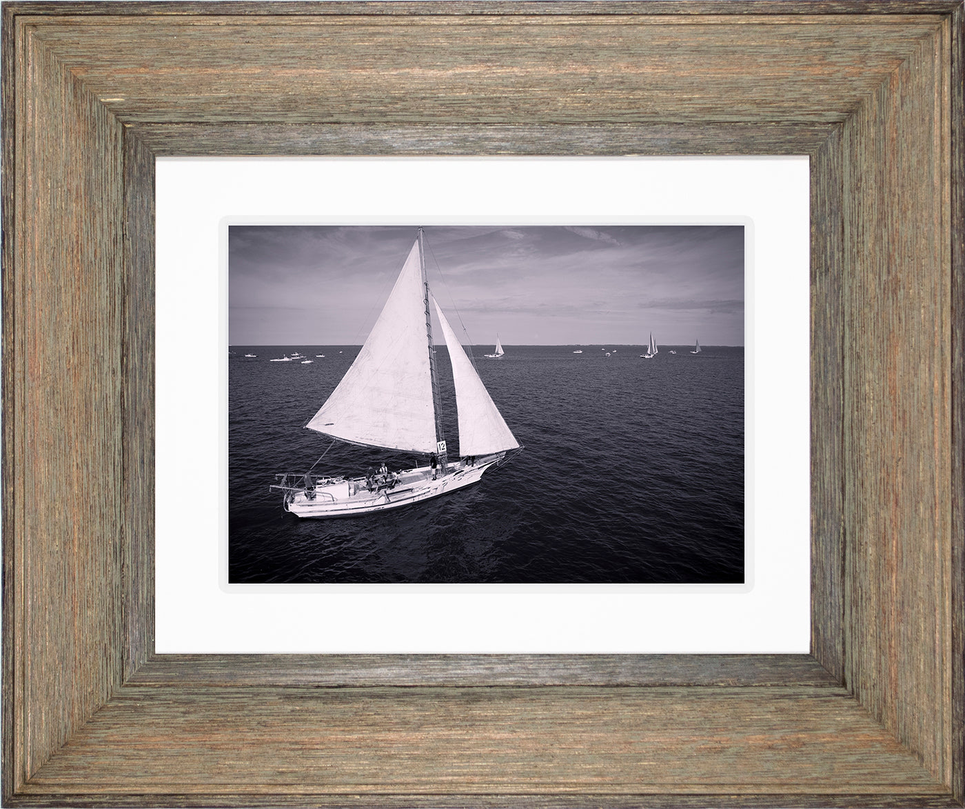2022 Deal Island Skipjack Races - The Messenger (BW) -- Digital Print