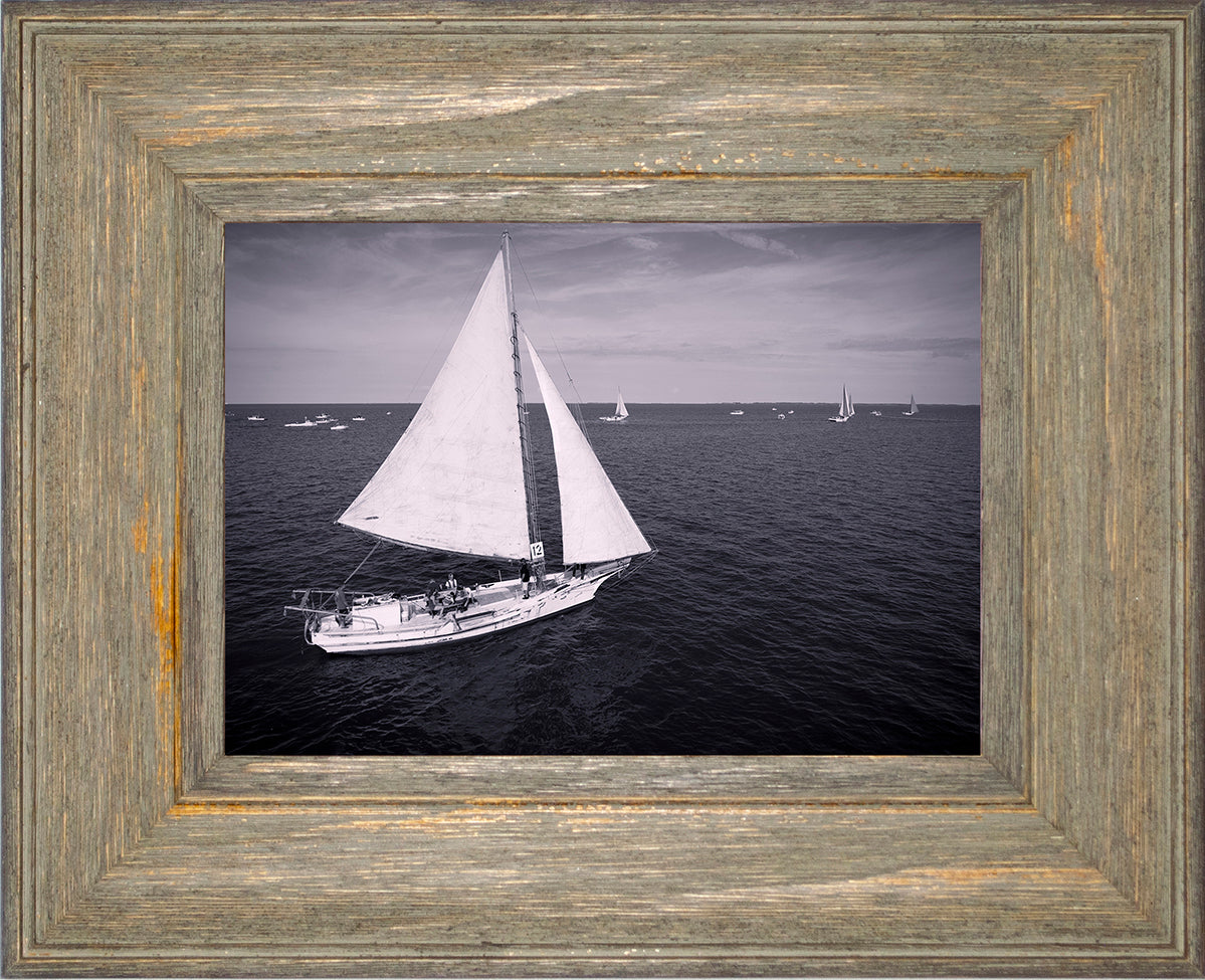 2022 Deal Island Skipjack Races - The Messenger (BW) -- Digital Print