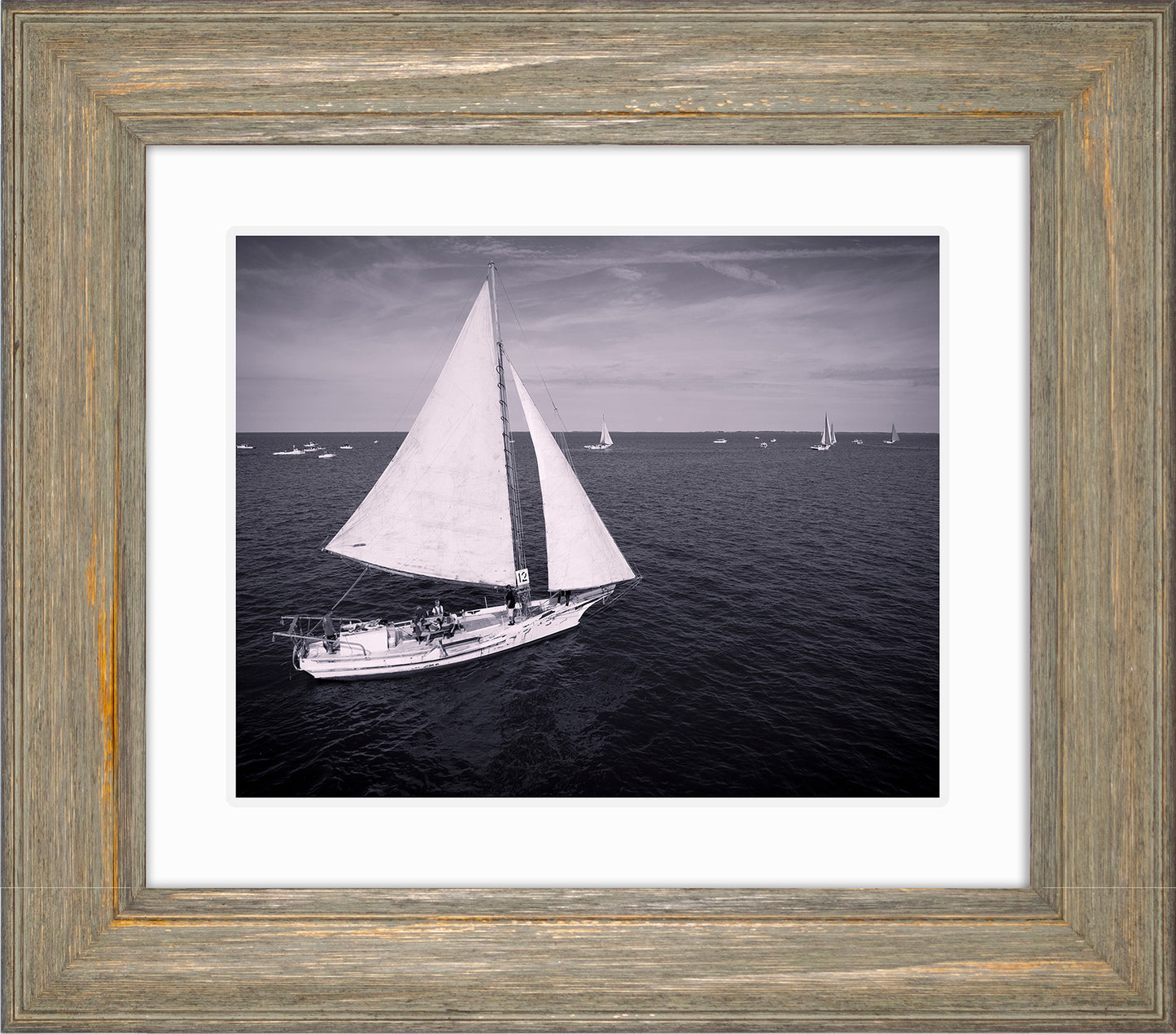 2022 Deal Island Skipjack Races - The Messenger (BW) -- Digital Print