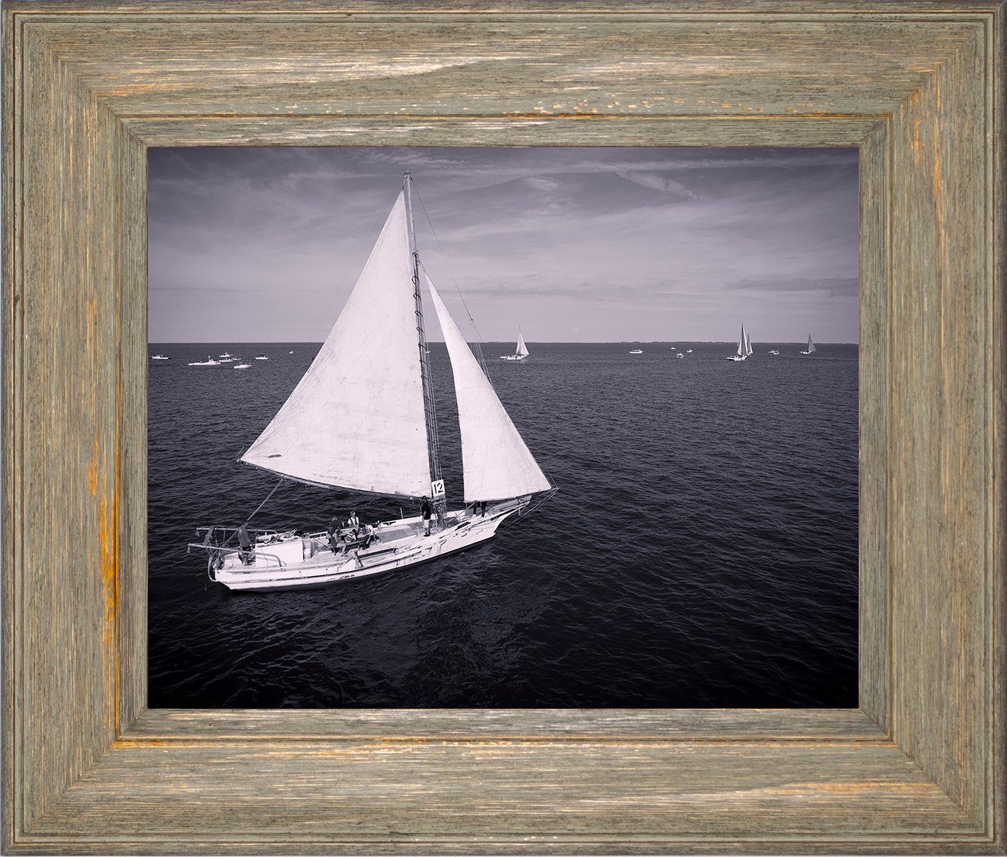 2022 Deal Island Skipjack Races - The Messenger (BW) -- Digital Print