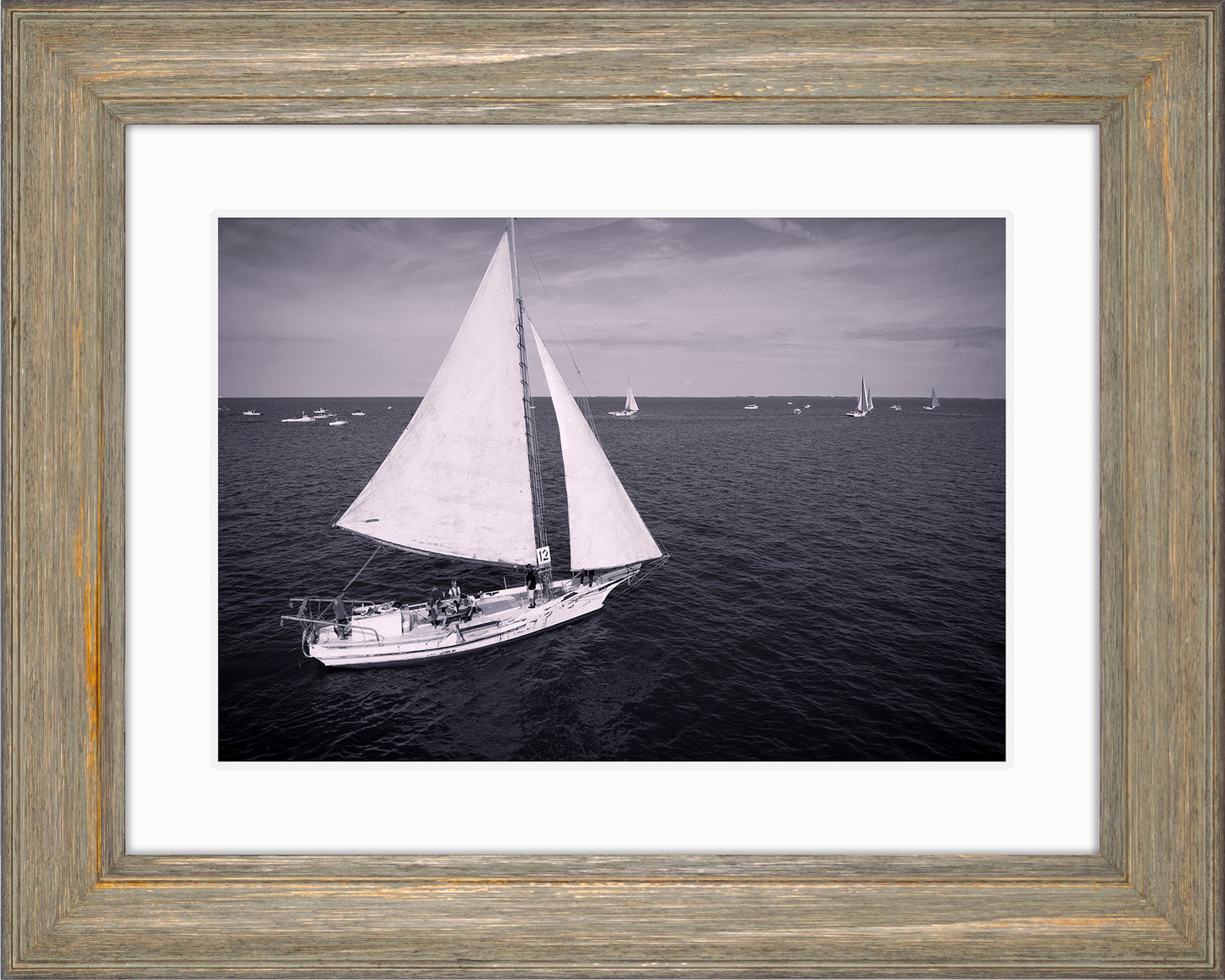 2022 Deal Island Skipjack Races - The Messenger (BW) -- Digital Print