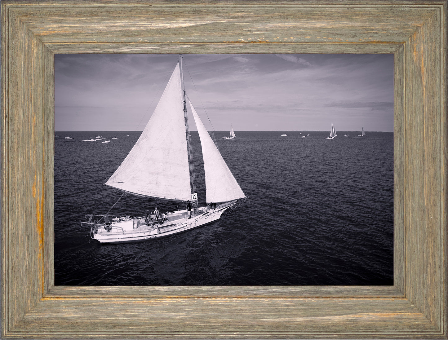 2022 Deal Island Skipjack Races - The Messenger (BW) -- Digital Print