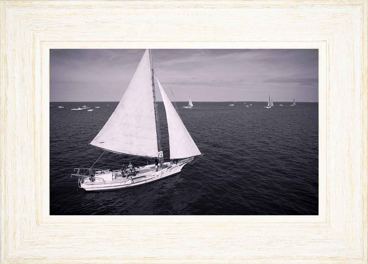 2022 Deal Island Skipjack Races - The Messenger (BW) -- Digital Print