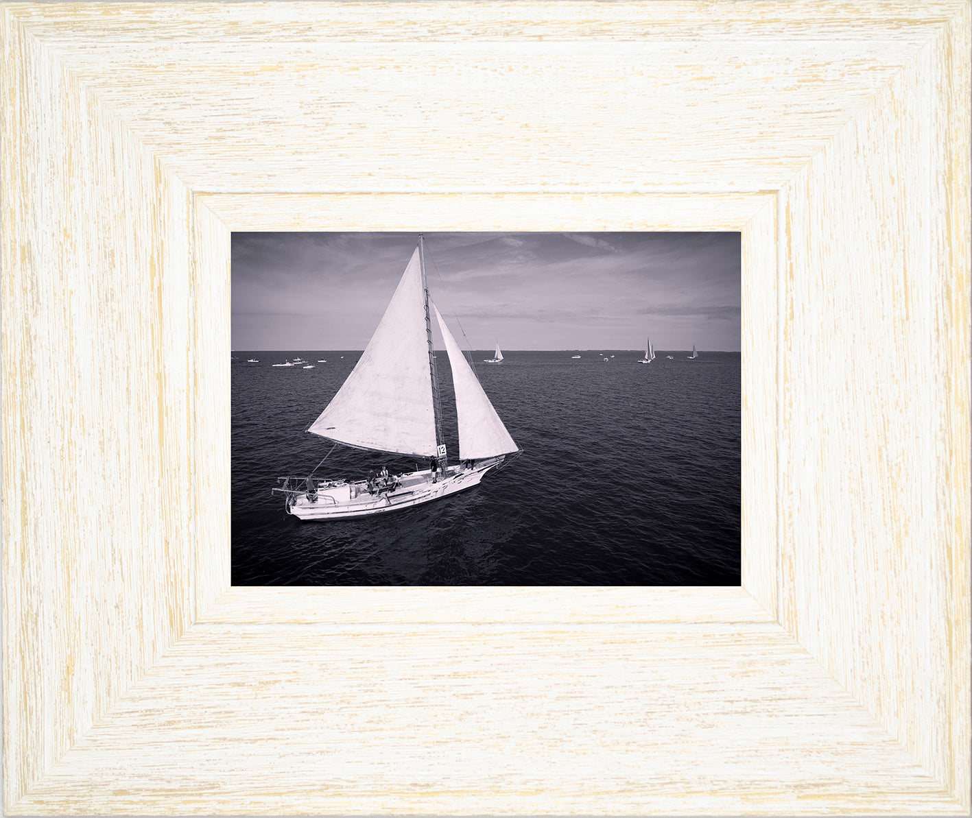 2022 Deal Island Skipjack Races - The Messenger (BW) -- Digital Print