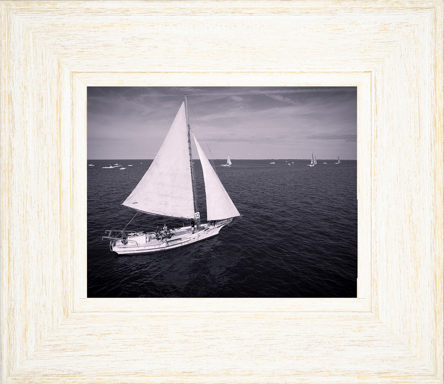 2022 Deal Island Skipjack Races - The Messenger (BW) -- Digital Print
