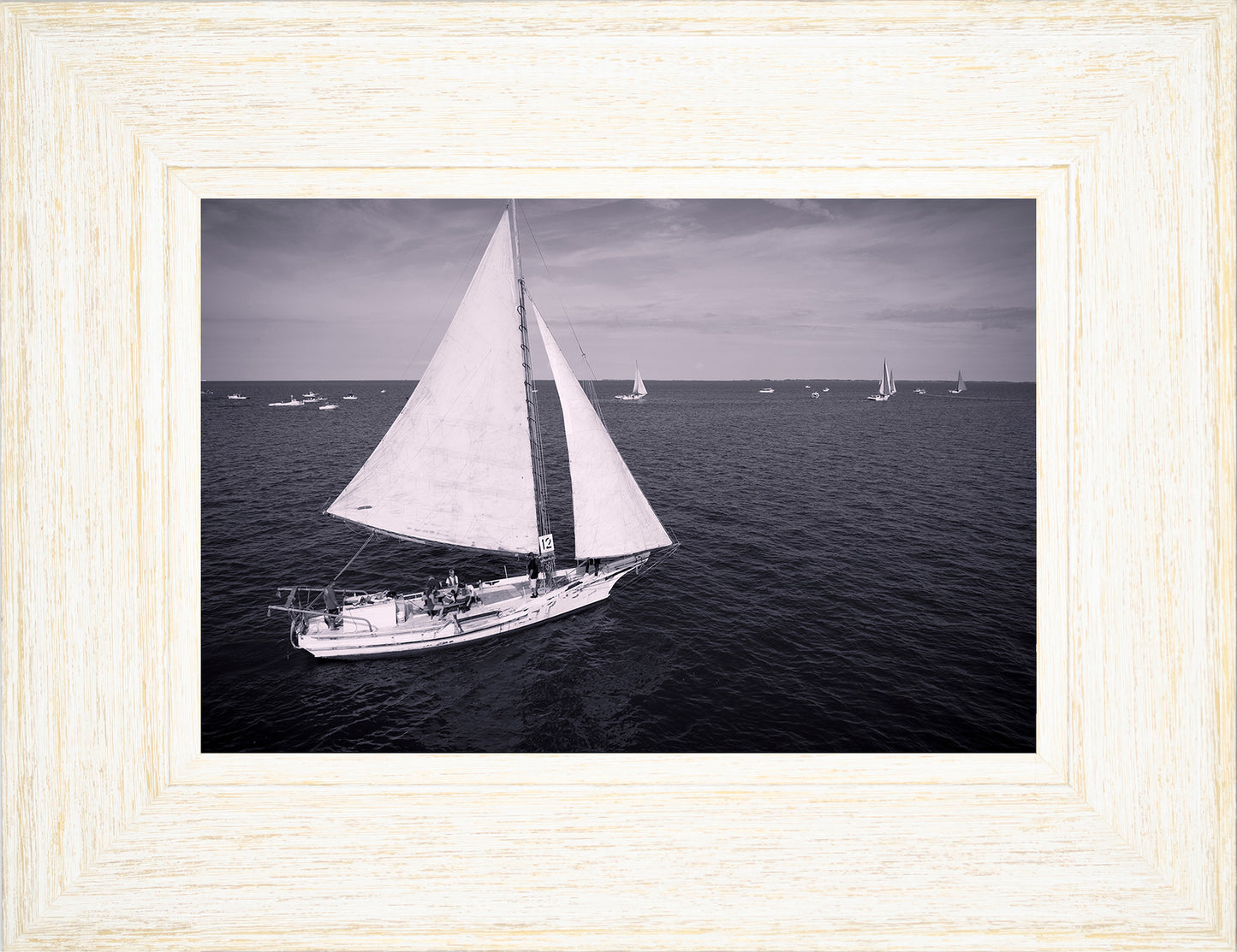 2022 Deal Island Skipjack Races - The Messenger (BW) -- Digital Print