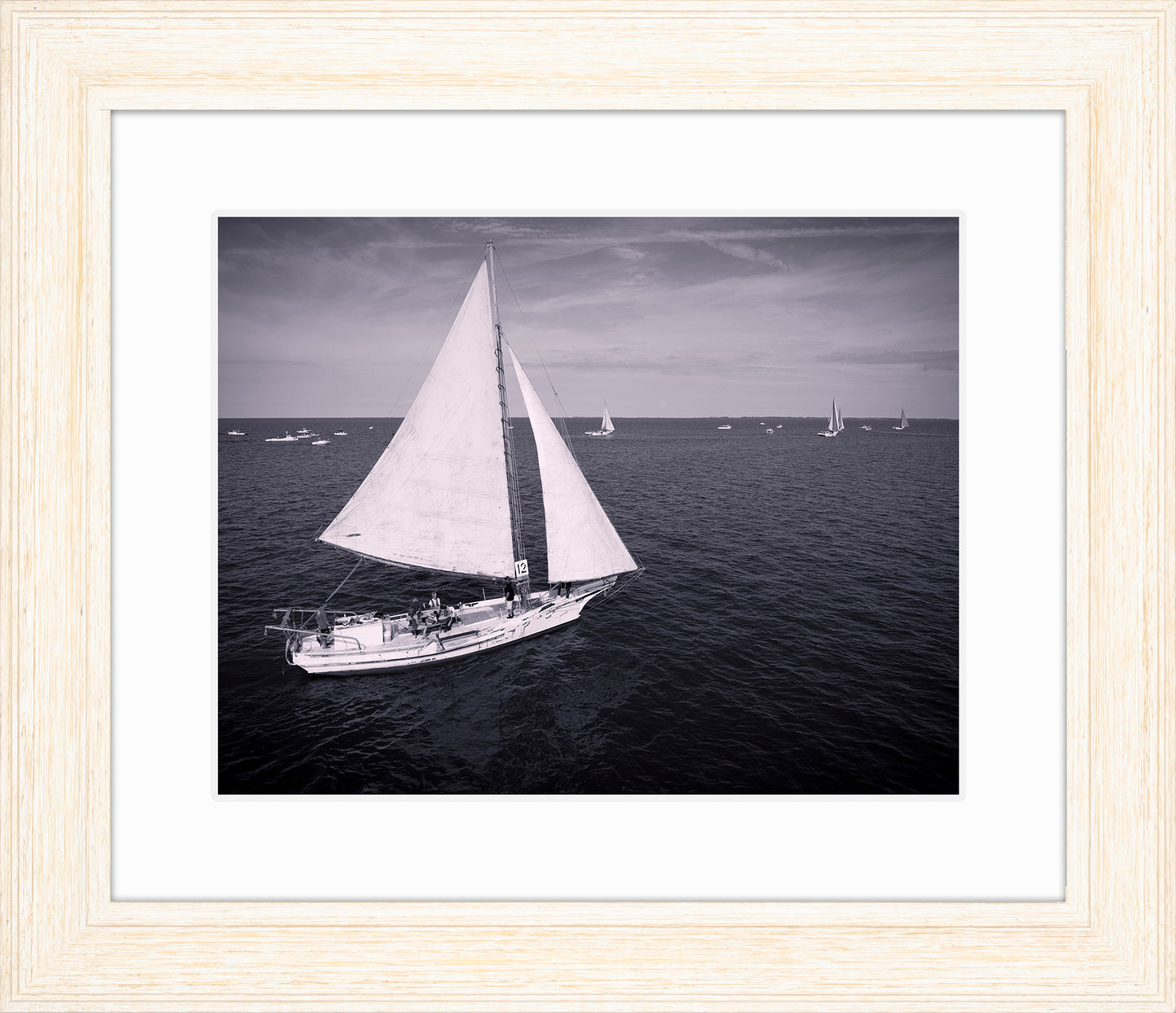 2022 Deal Island Skipjack Races - The Messenger (BW) -- Digital Print