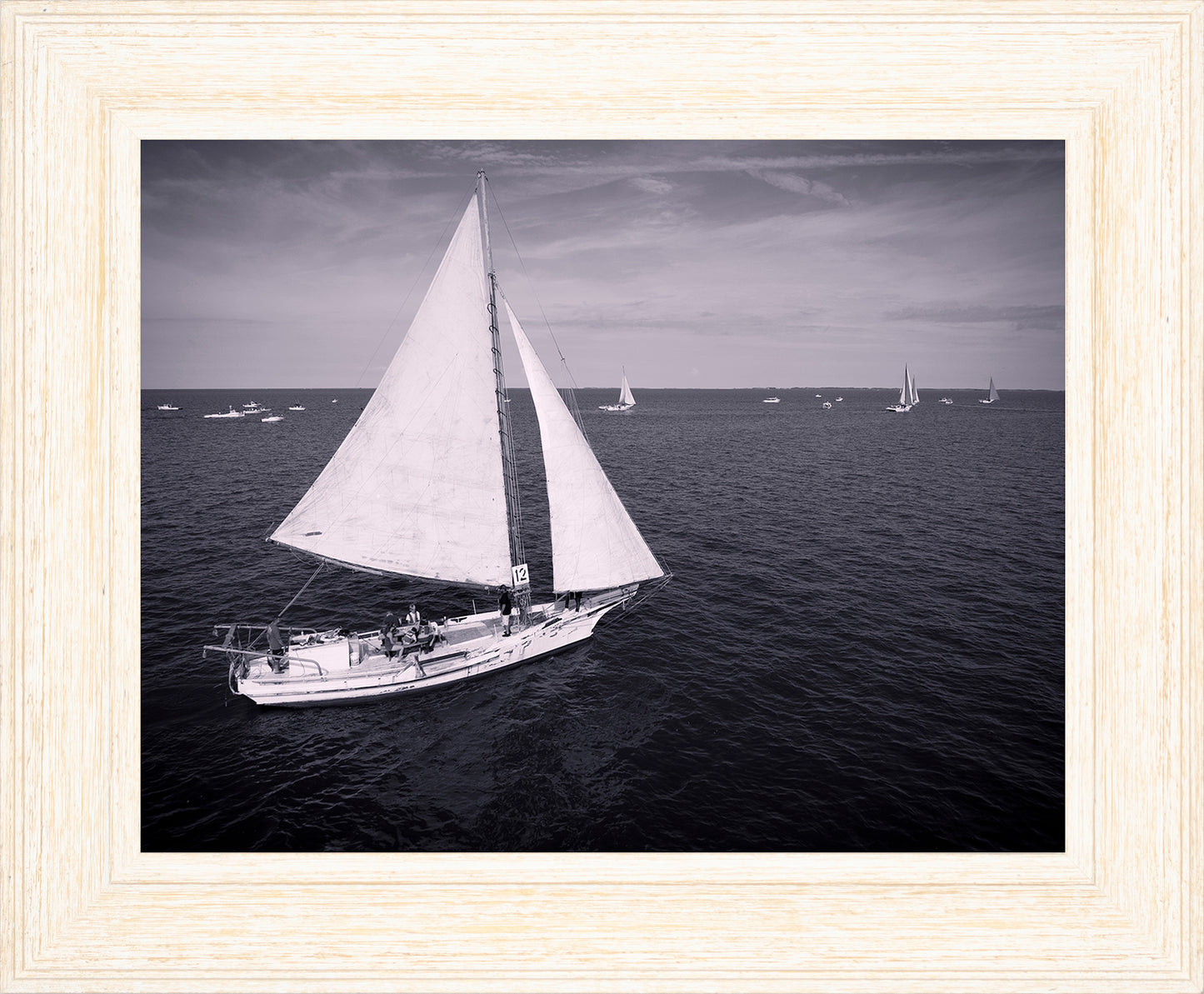 2022 Deal Island Skipjack Races - The Messenger (BW) -- Digital Print