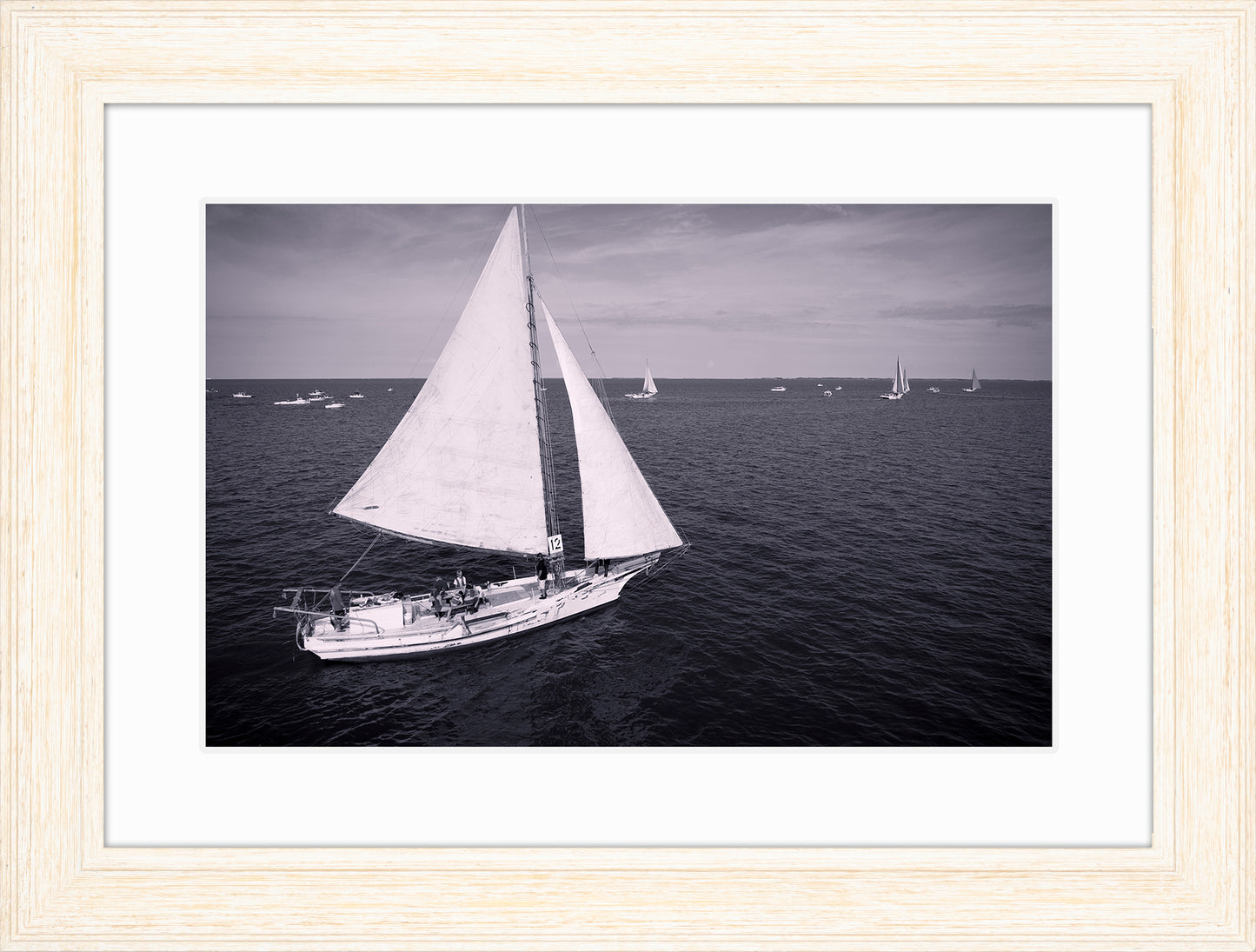 2022 Deal Island Skipjack Races - The Messenger (BW) -- Digital Print