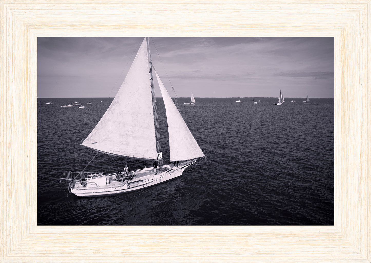 2022 Deal Island Skipjack Races - The Messenger (BW) -- Digital Print