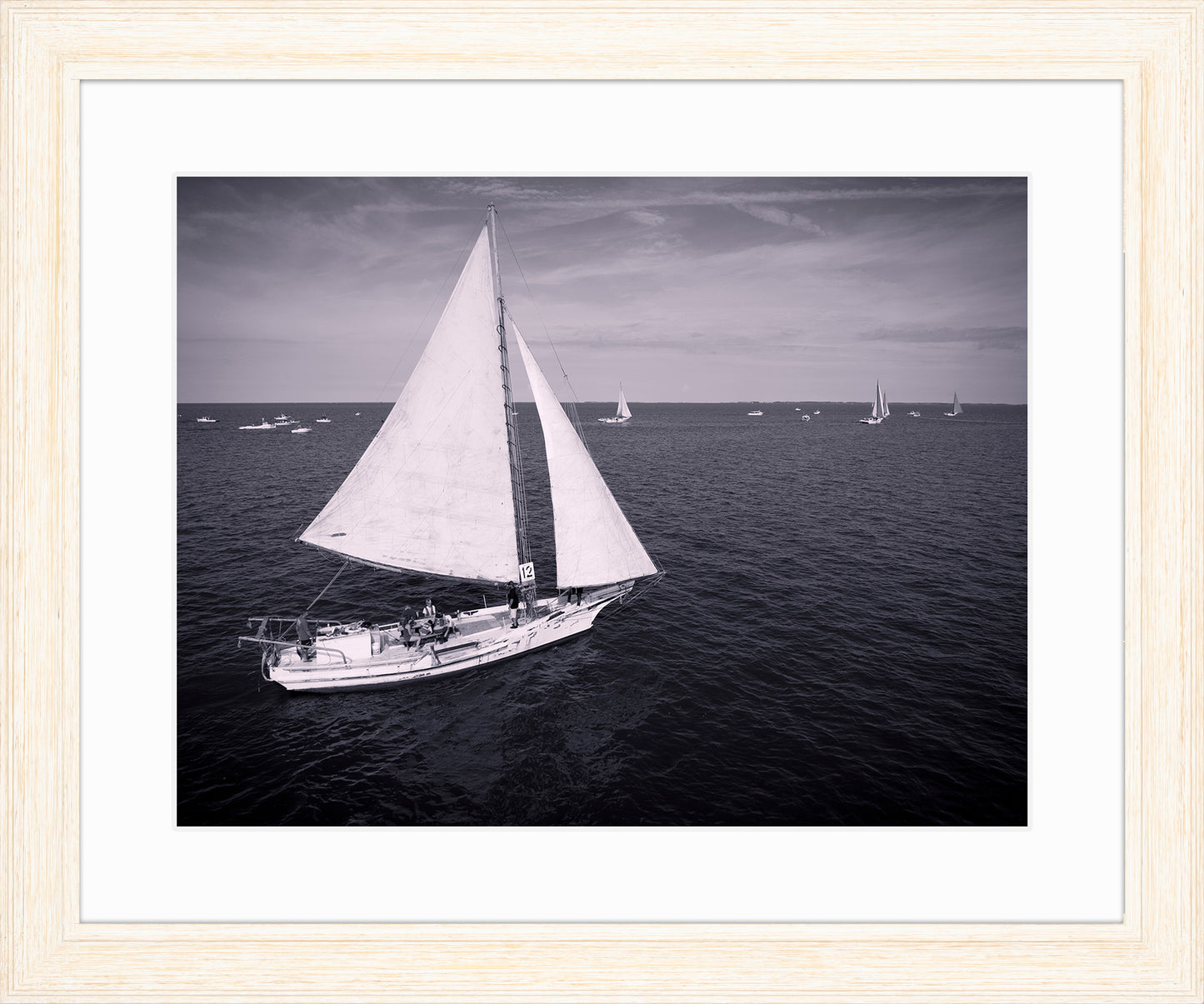 2022 Deal Island Skipjack Races - The Messenger (BW) -- Digital Print