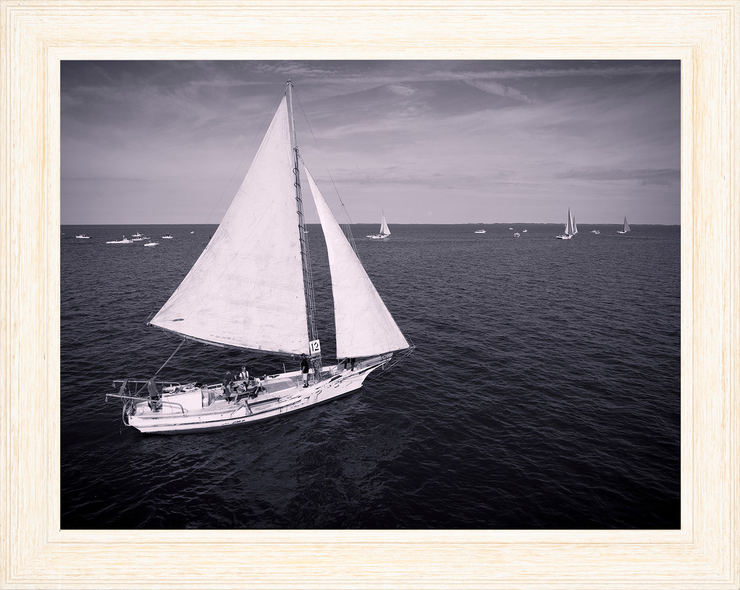 2022 Deal Island Skipjack Races - The Messenger (BW) -- Digital Print