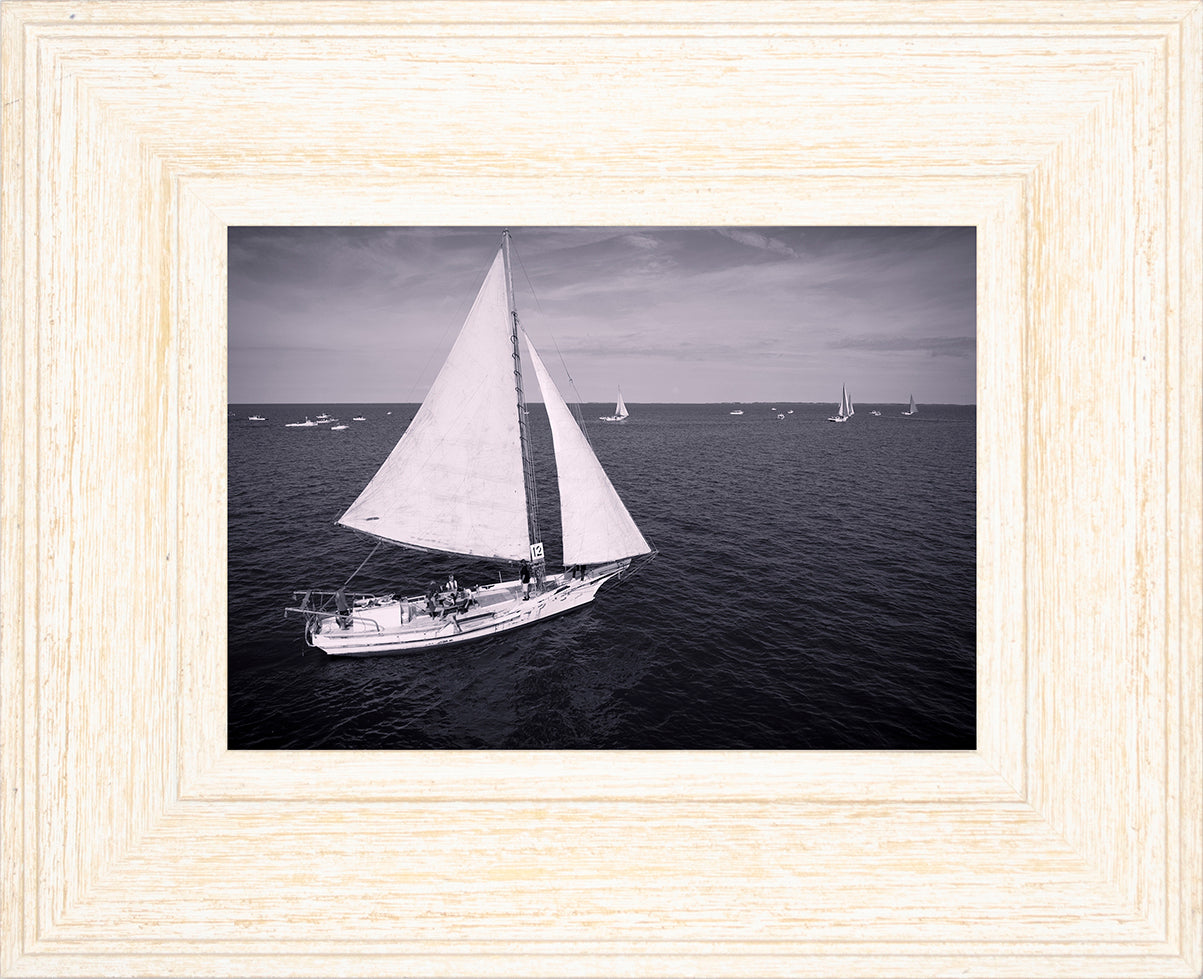 2022 Deal Island Skipjack Races - The Messenger (BW) -- Digital Print