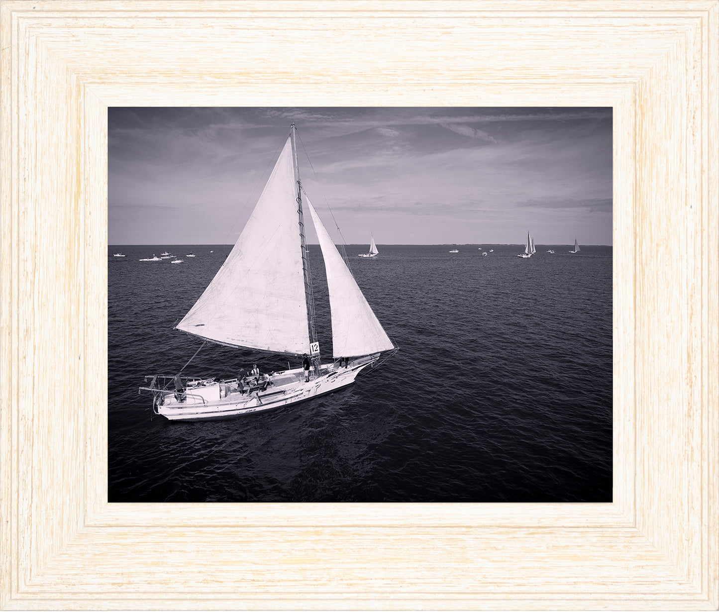 2022 Deal Island Skipjack Races - The Messenger (BW) -- Digital Print