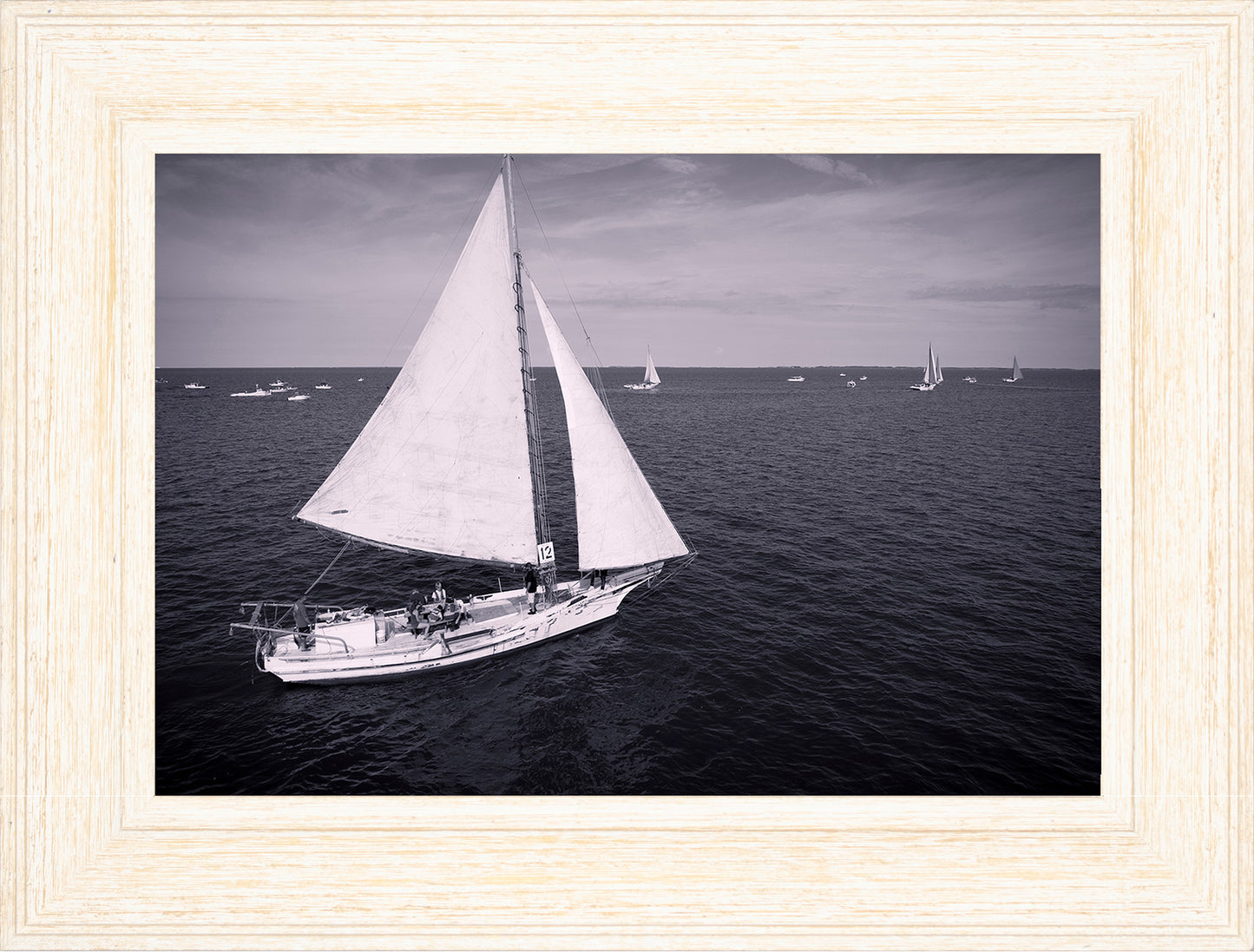 2022 Deal Island Skipjack Races - The Messenger (BW) -- Digital Print