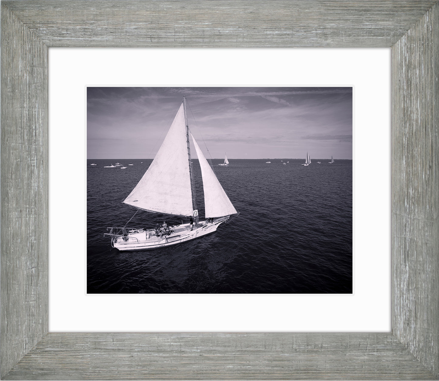 2022 Deal Island Skipjack Races - The Messenger (BW) -- Digital Print