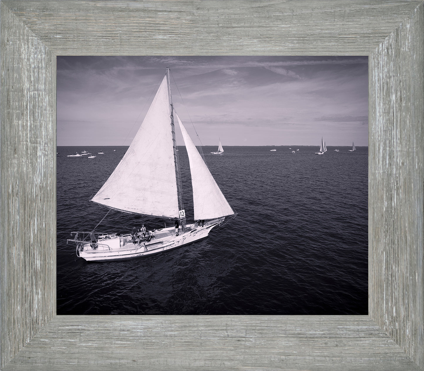 2022 Deal Island Skipjack Races - The Messenger (BW) -- Digital Print