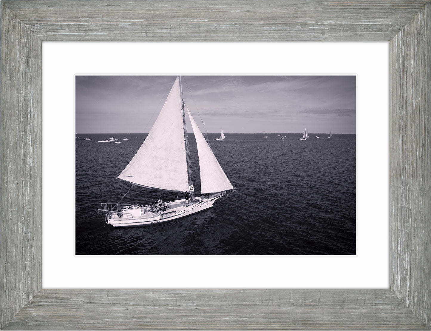 2022 Deal Island Skipjack Races - The Messenger (BW) -- Digital Print