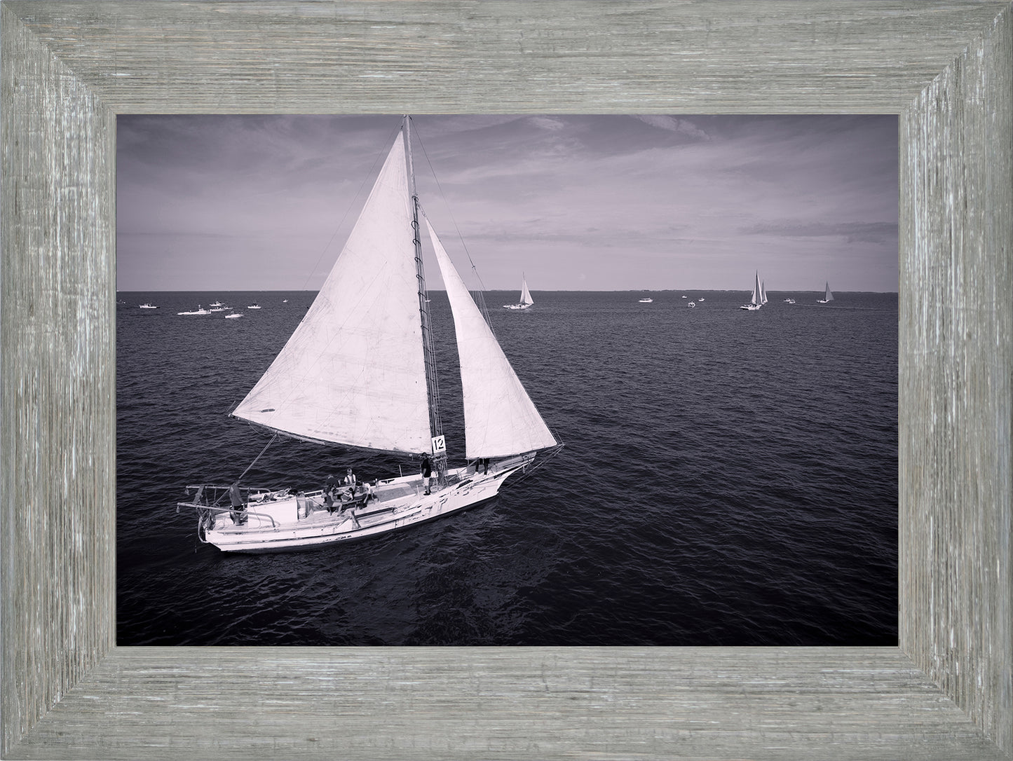 2022 Deal Island Skipjack Races - The Messenger (BW) -- Digital Print